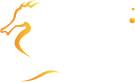 city-tv-constanta